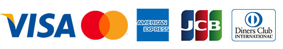 VISA Master American Express